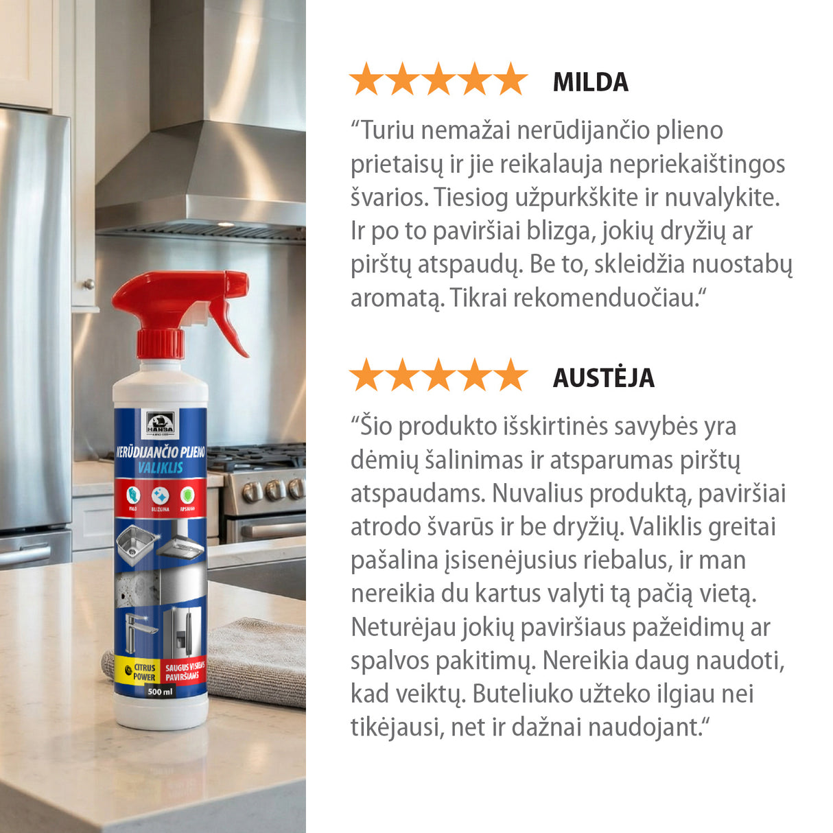 Hansa nerūdijančio plieno valiklis – dėmių ir nešvarumų šalinimui