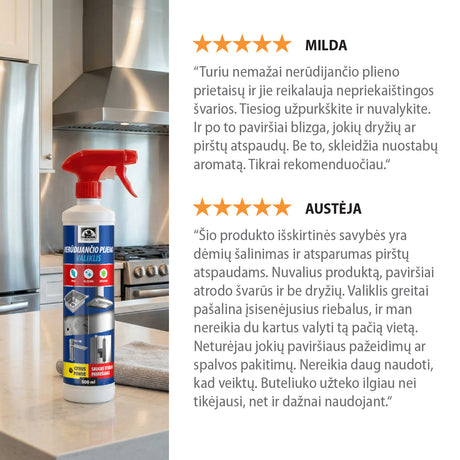 Hansa nerūdijančio plieno valiklis – dėmių ir nešvarumų šalinimui